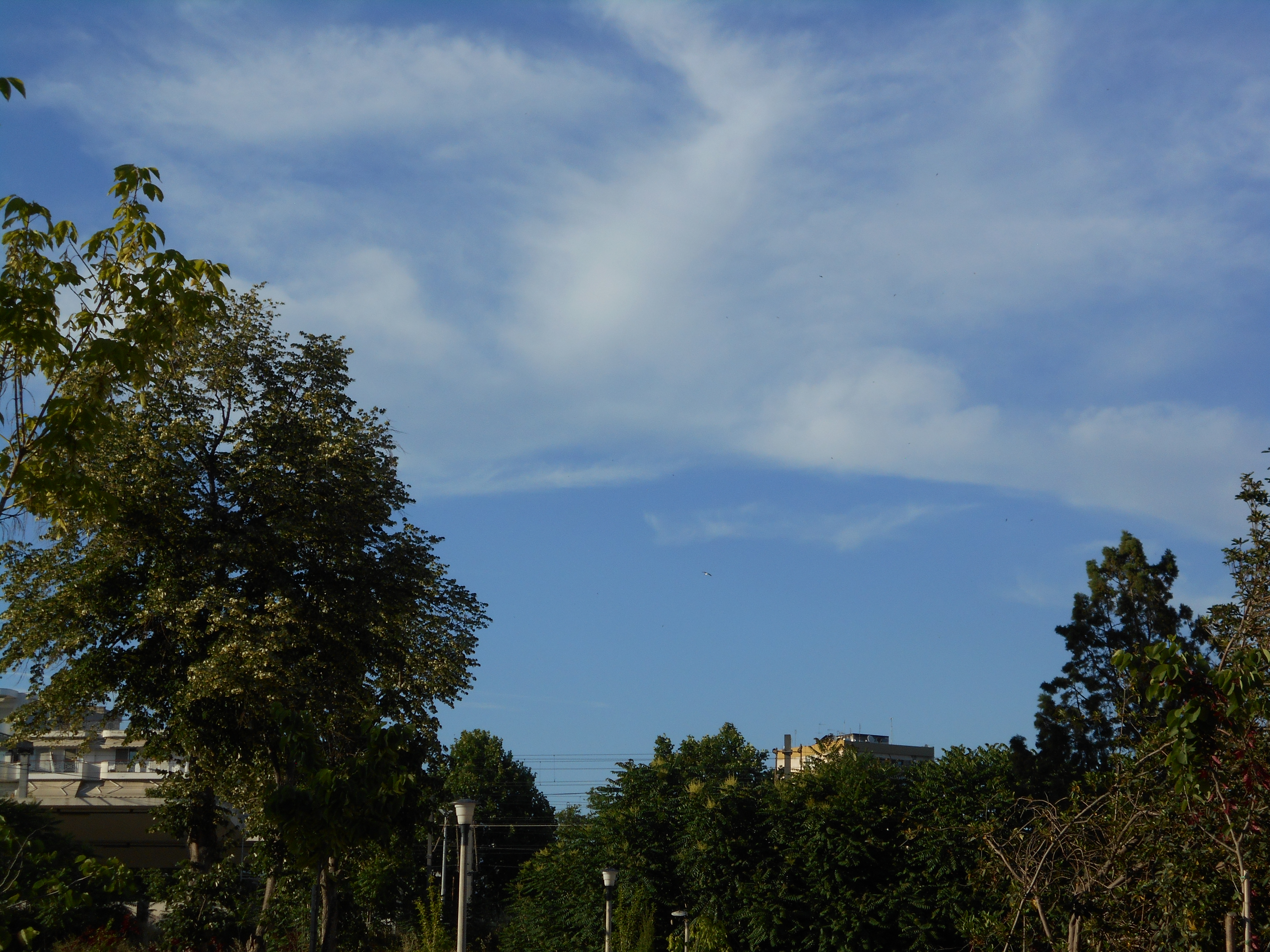 Shooting Pictures with my Nikon Coolpix L28